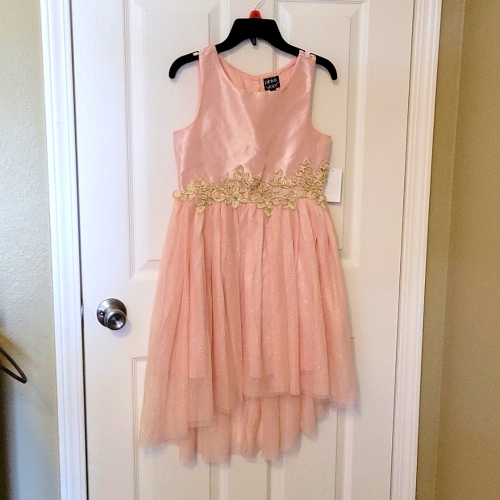 Pink and Violet Girls Pink and Gold Dress Size 10